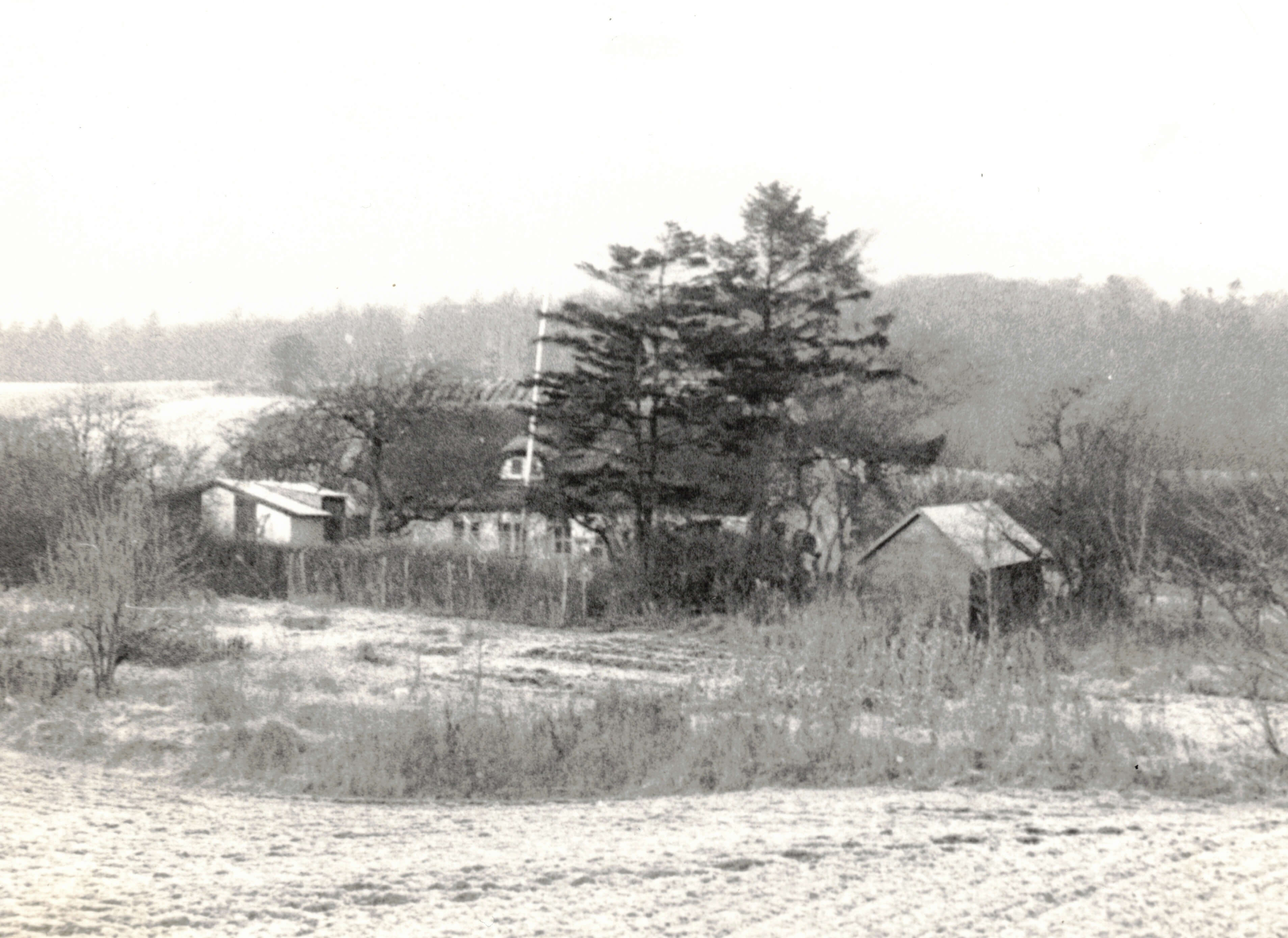 Sommerhuset i Ganløse ultimo 1960erne